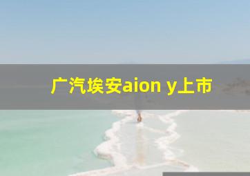 广汽埃安aion y上市